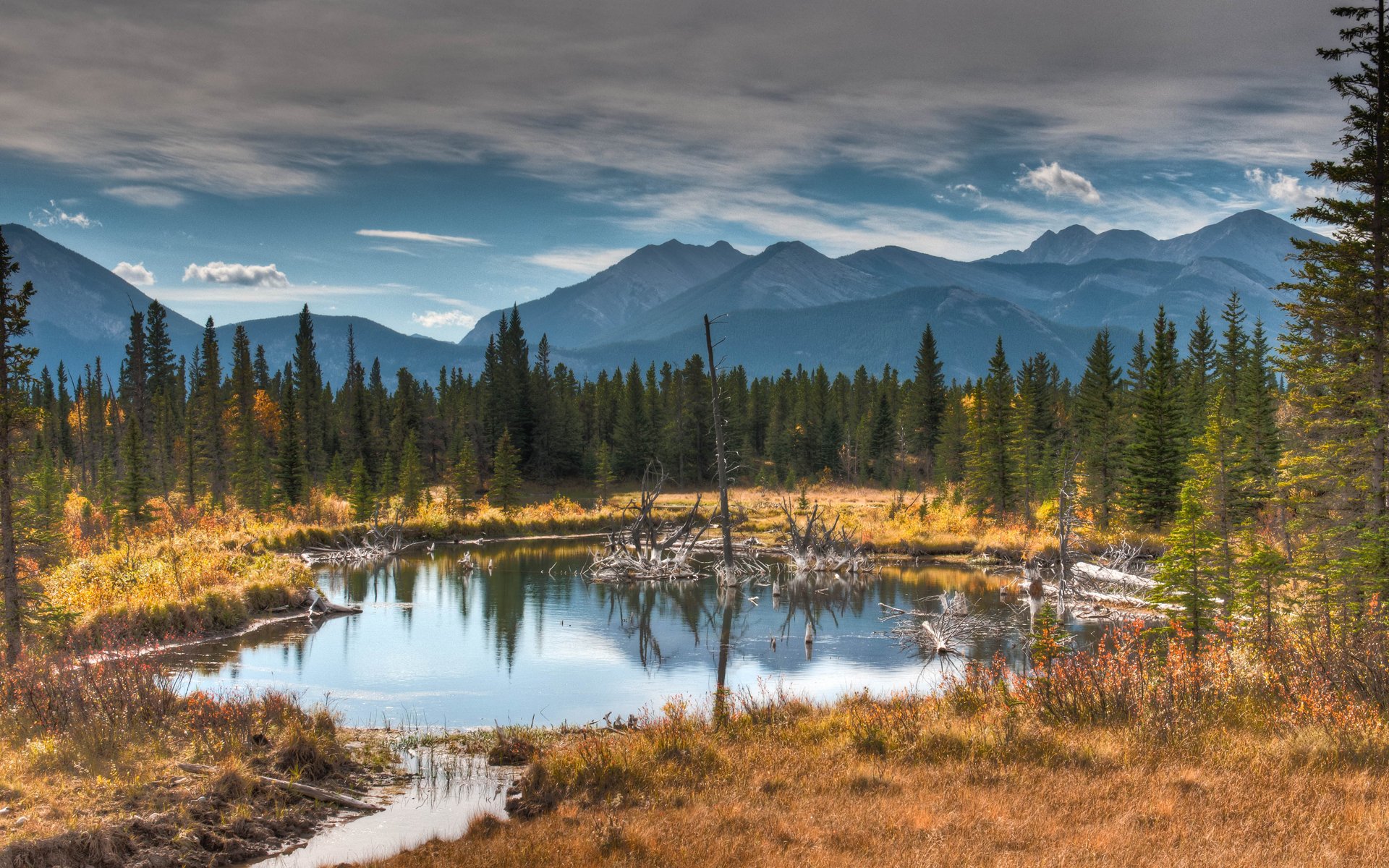 montagne foresta erba autunno lago acqua