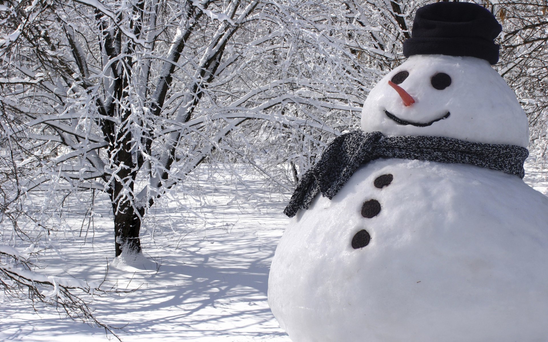 natur landschaft schnee bäume winter schneemann neujahr weihnachten