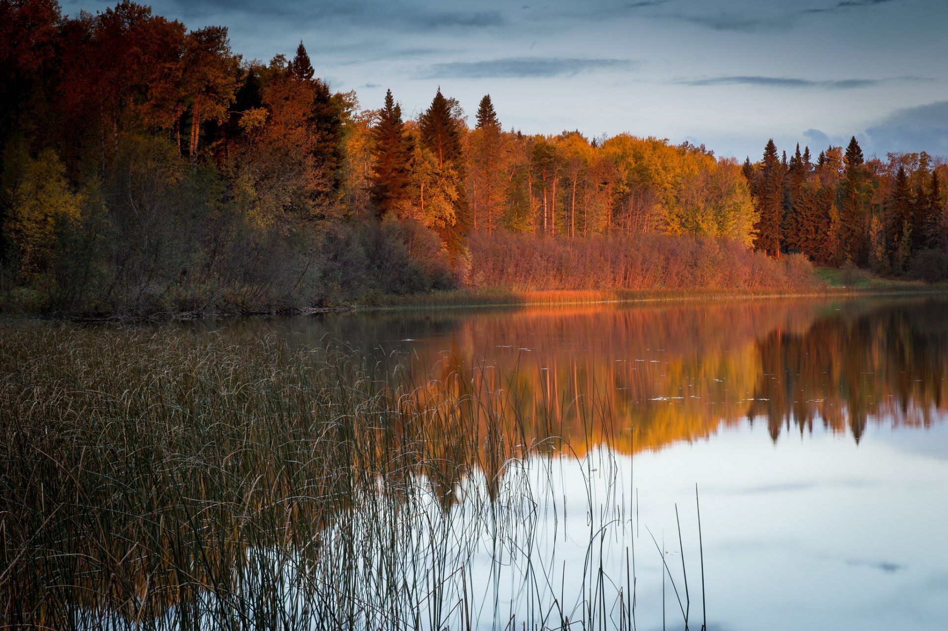 природа осень река лес