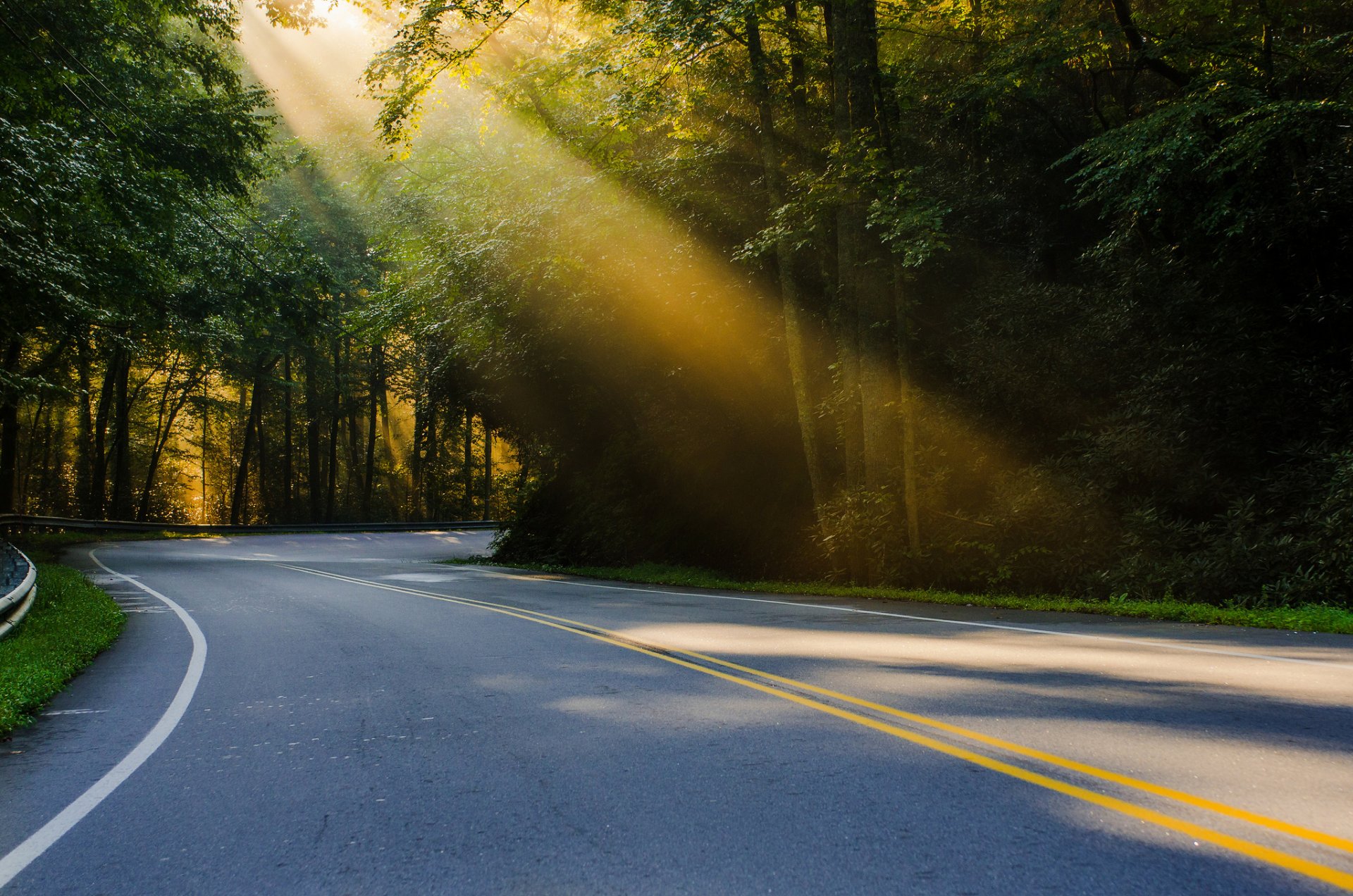 united states north carolina nature road forest light sun summer regularjoe photography