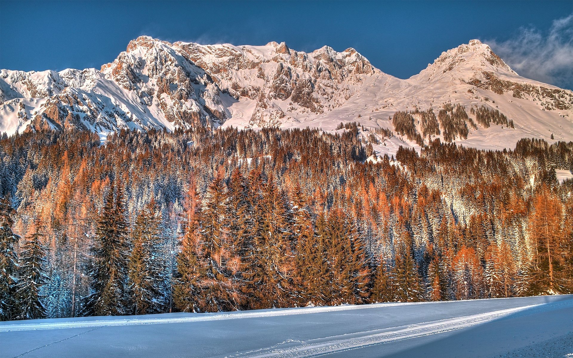 montañas bosque nieve invierno árboles