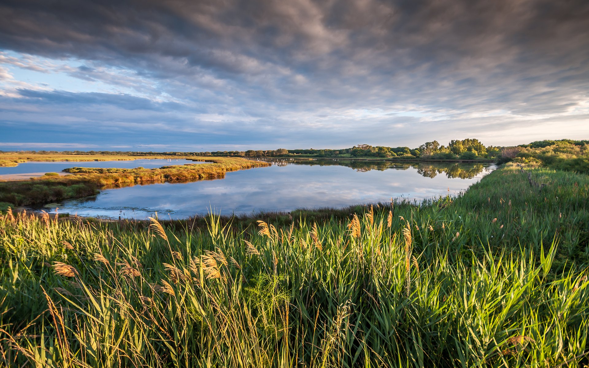 appetitoso camargue francia natura paesaggio cielo nuvole lago erba