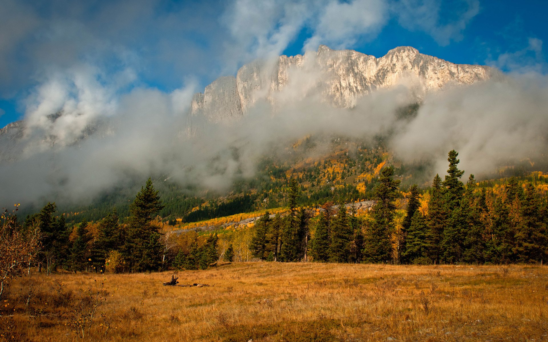 natura autunno montagne nebbia nuvole alberi abete rosso conifere