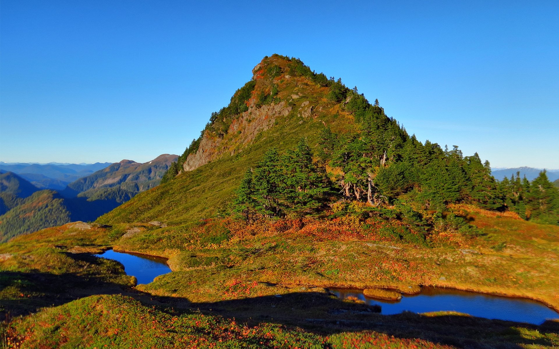 natur berg hügel seen wasser pfützen bäume