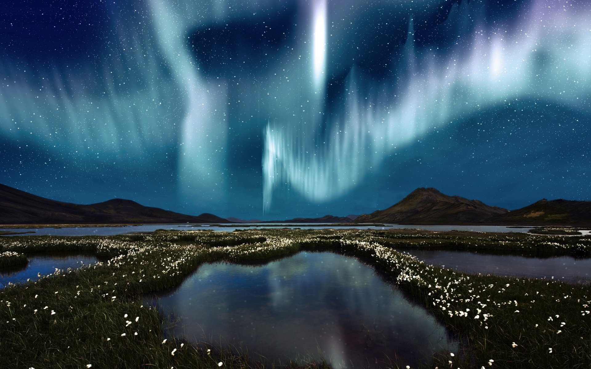 aurora boreale paludi fiori acqua cielo stelle