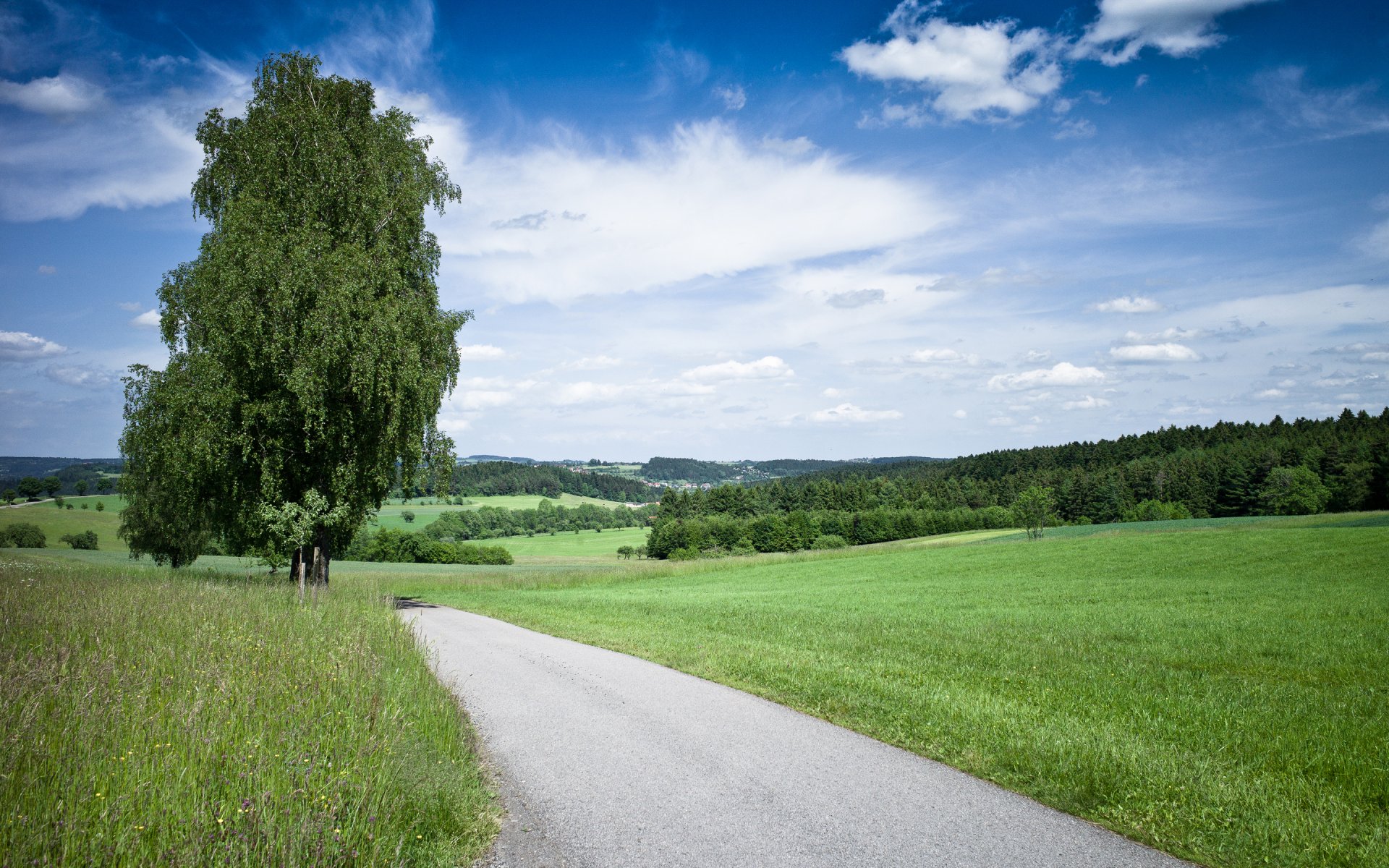 nature route arbre herbe ciel été