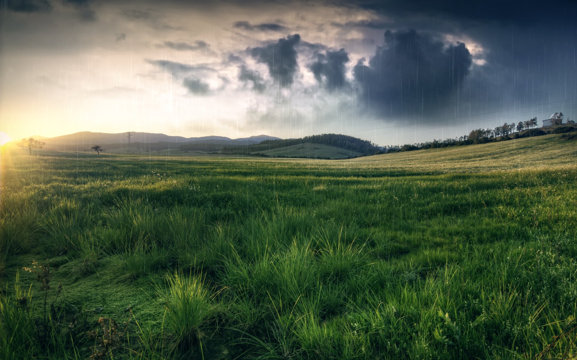 natura pole łąka trawa wzgórza deszcz chmury