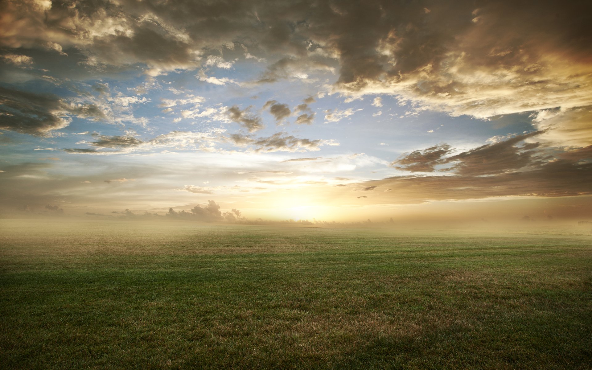 natur feld gras rasen wolken morgen nebel