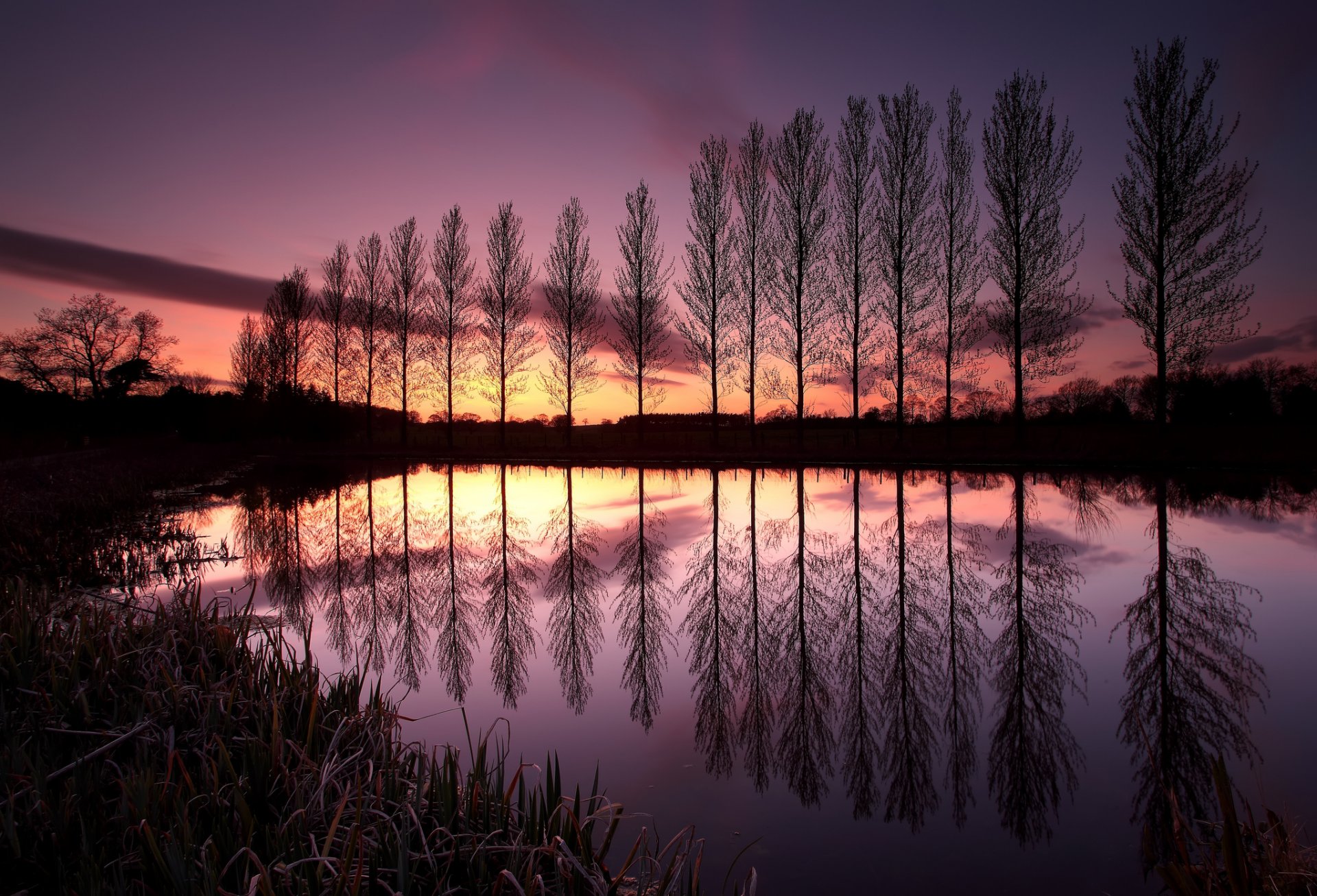 regno unito inghilterra alberi fila lago riflessione sera tramonto cielo nuvole