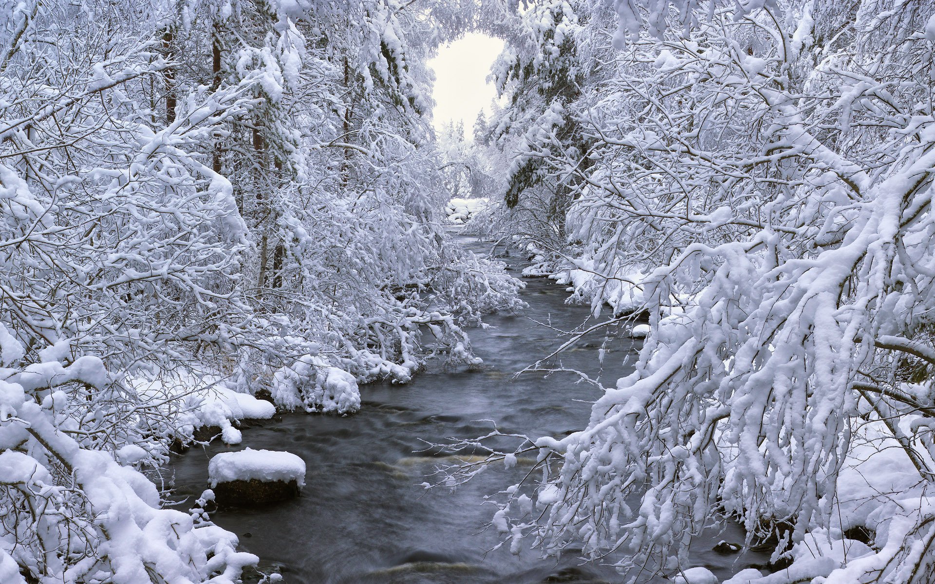 böle dalarna suecia invierno nieve bosque árboles río