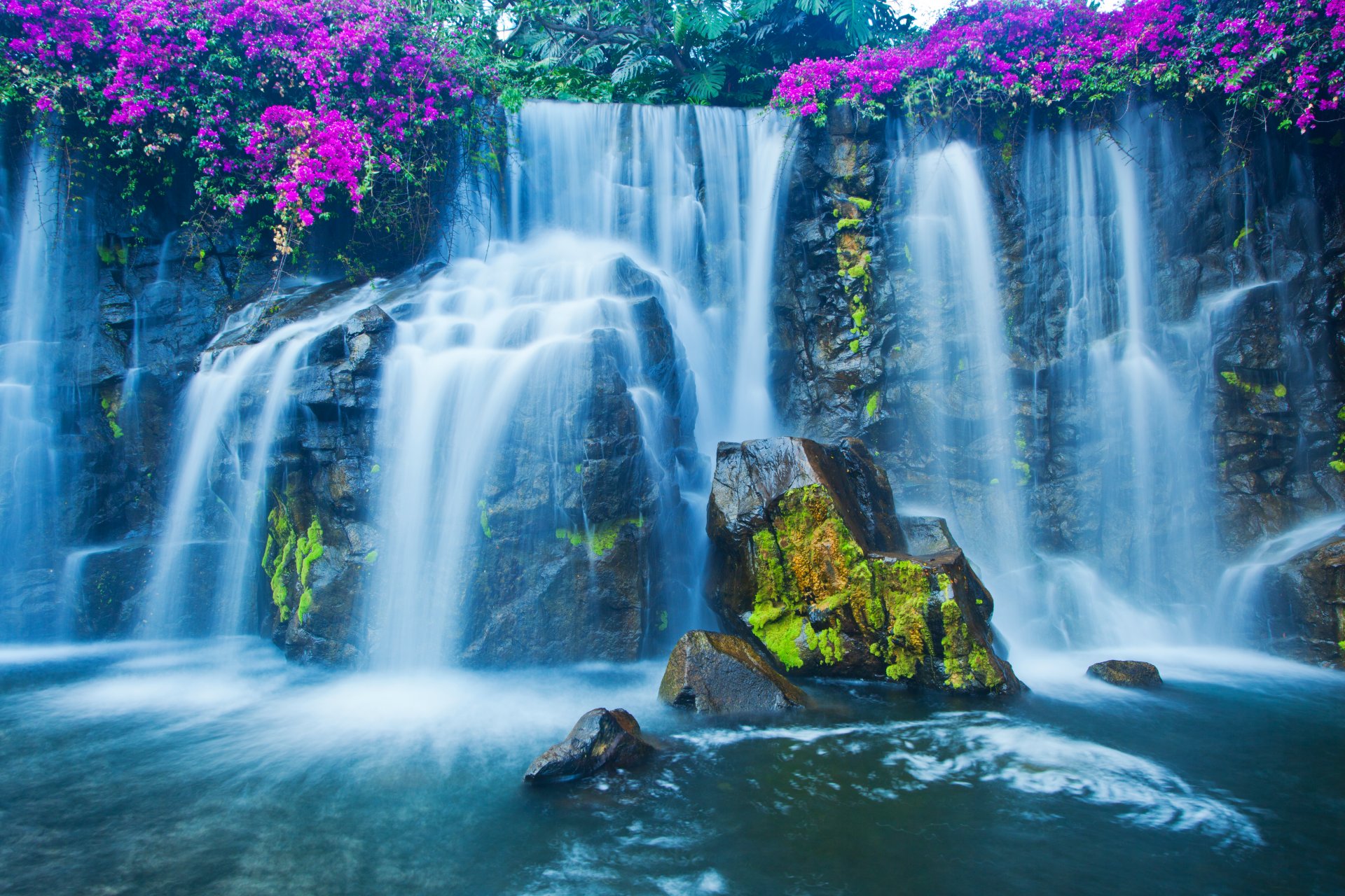 steine moos blumen wasserfall