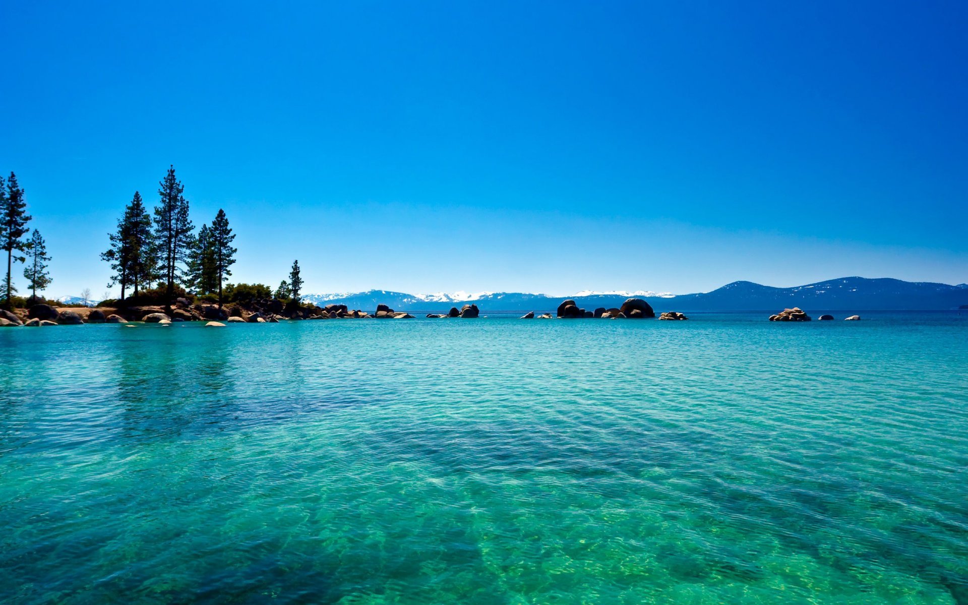 lac eau bleu forêt lake tahoe californie