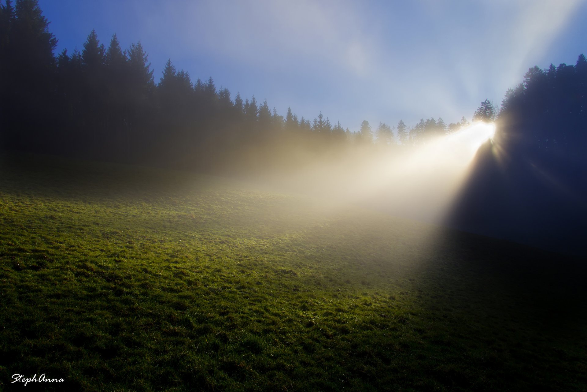 natur frankreich wald lichtung gras tau morgen nebel licht strahlen stephan&anna gürtler photography