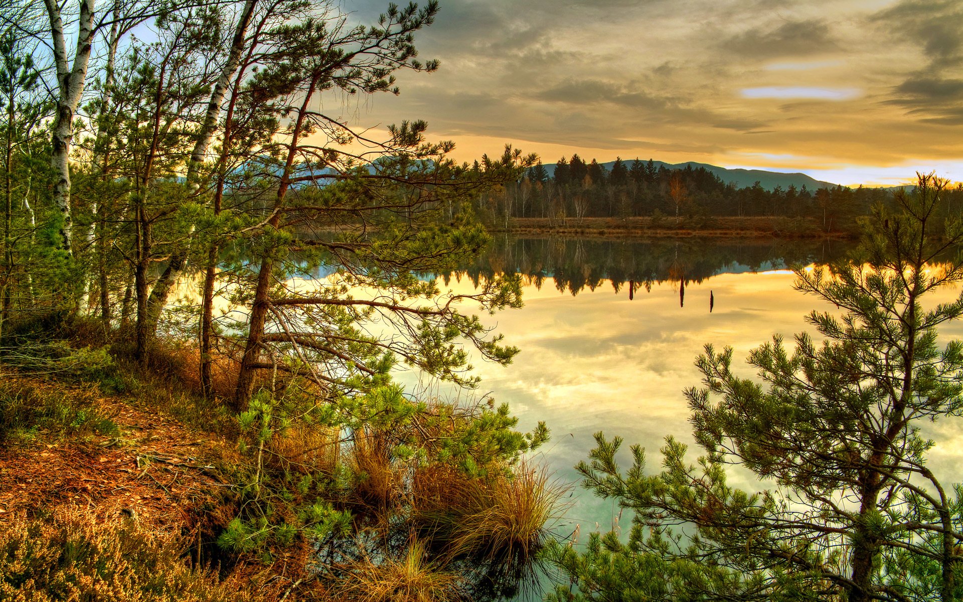 natura lago autunno foresta alberi abete rosso aghi erba secco nuvole tramonto guarda