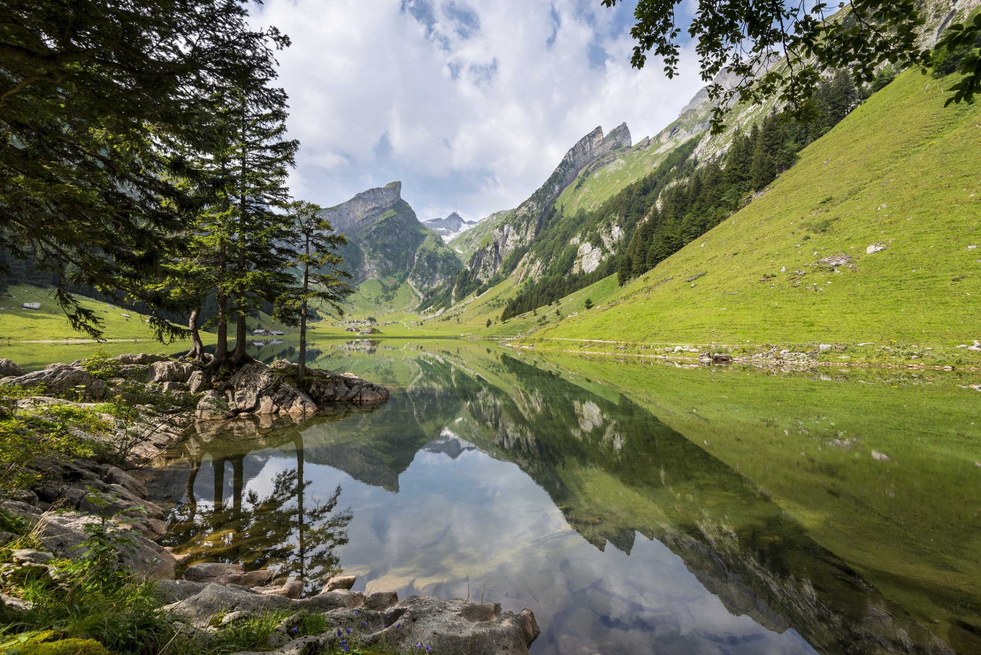 naturaleza lago montañas alpes bosque