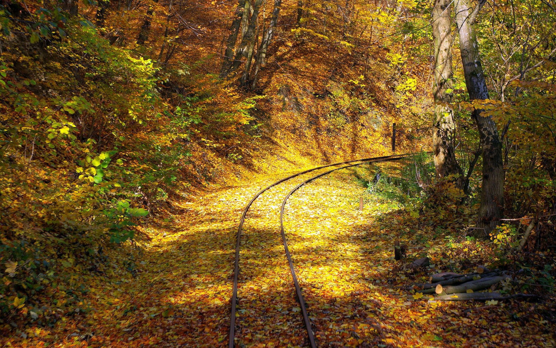 zhelesnaya road rails sleepers les.derevya leaves branches foliage autumn