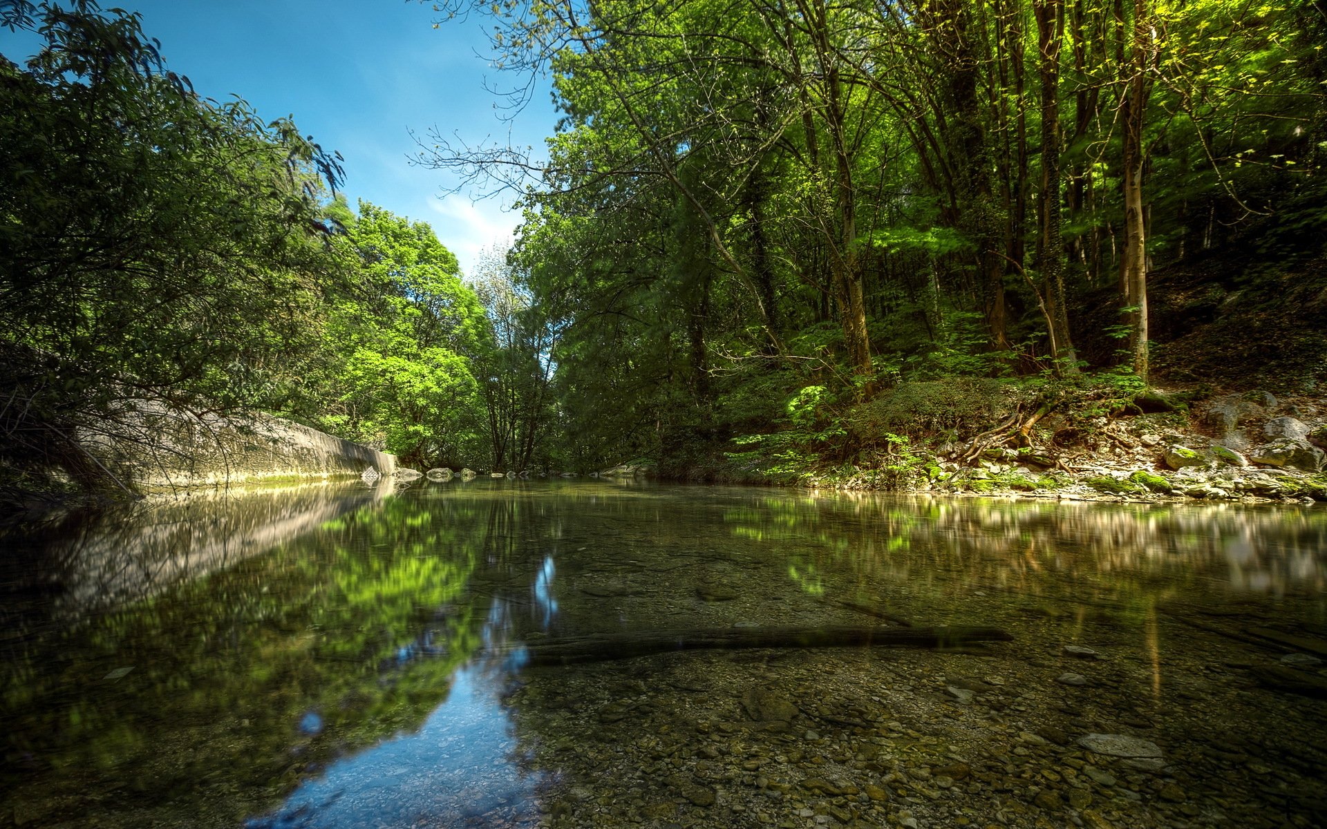 río bosque naturaleza verano