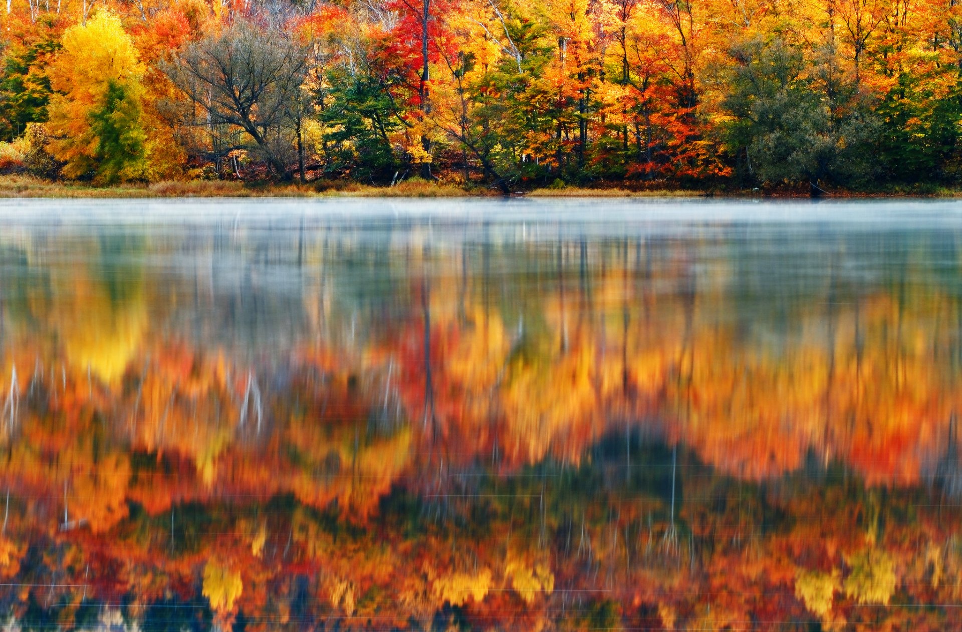 stati uniti d america nuova inghilterra new hampshire natura mattina lago foresta vernice claus brandstaetter fotografia