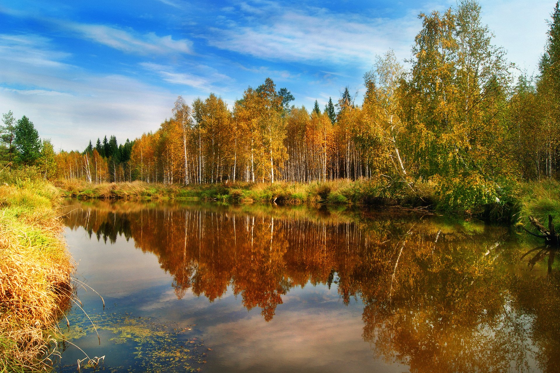 природа лес осень вода отражения