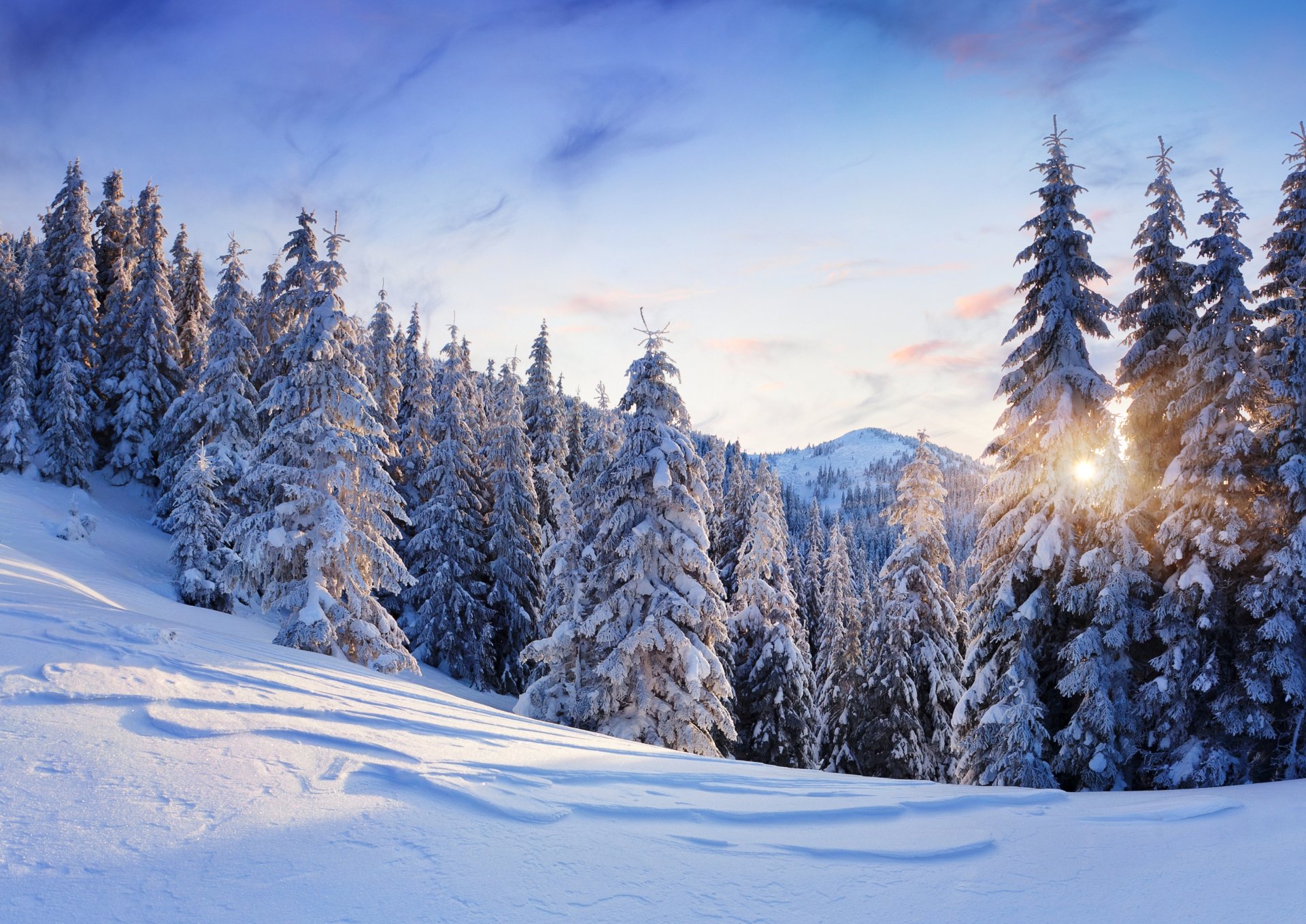 natura inverno neve montagne alberi alberi di natale abete rosso cielo sole paesaggio