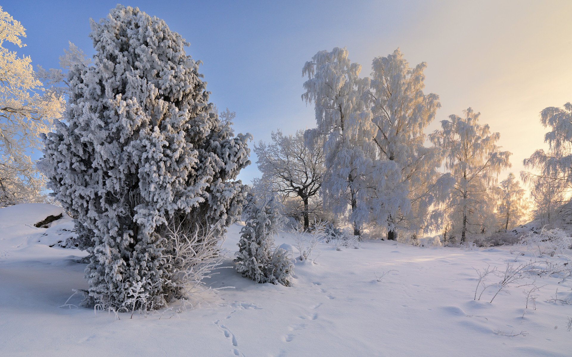 vagnhärad södermanland svezia inverno neve alberi