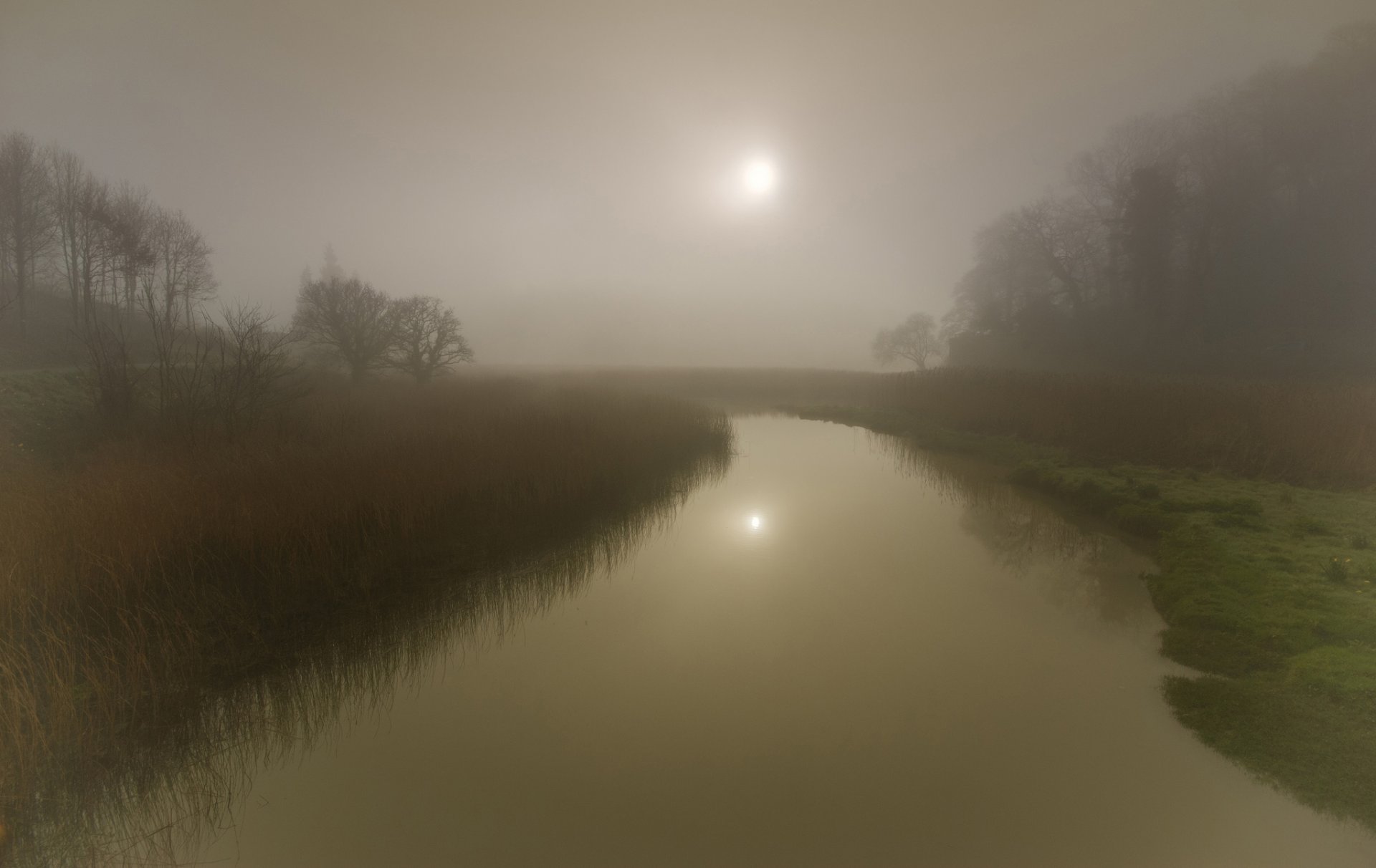 niebla río árboles sol reflexión hierba