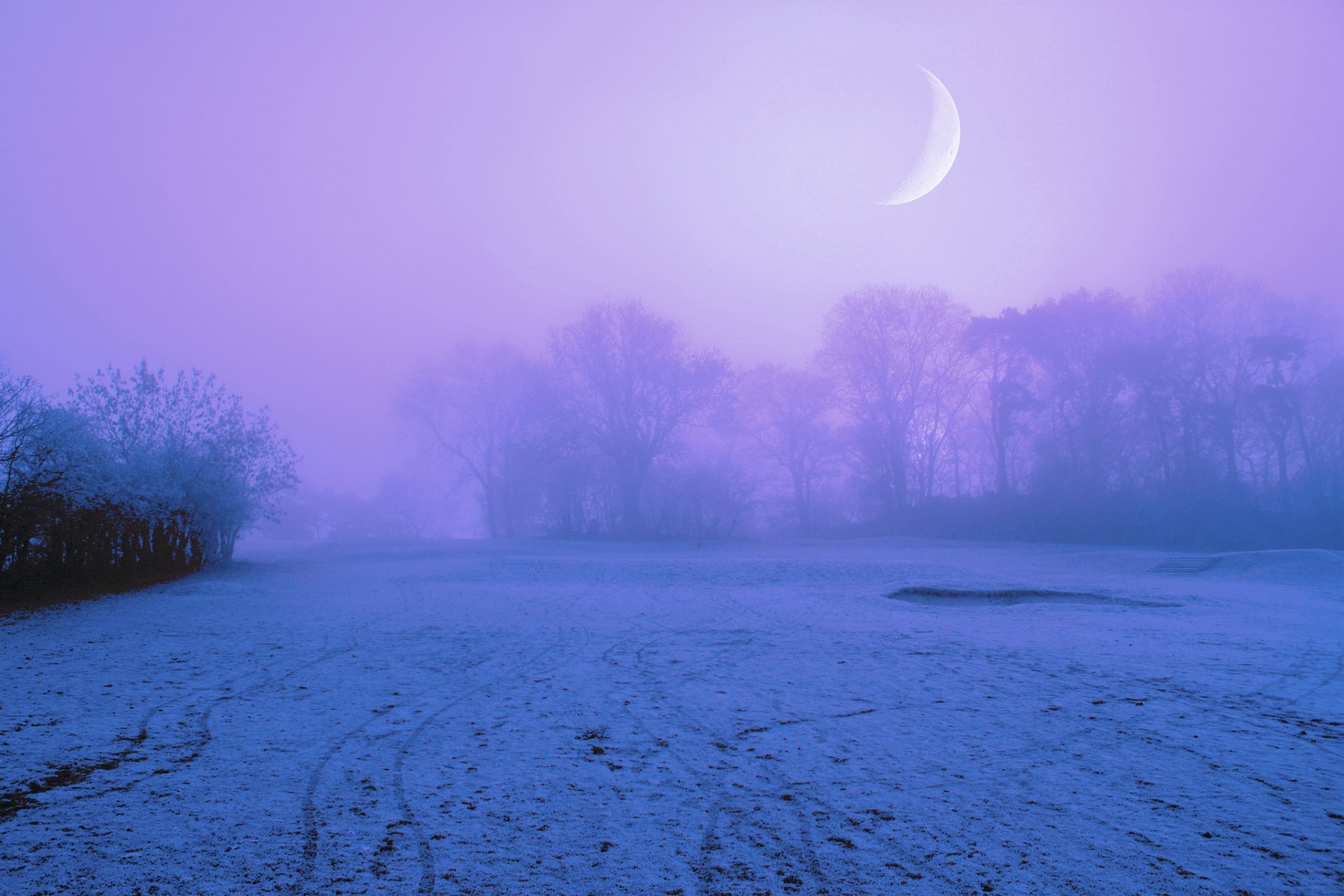 inverno neve radura alberi nebbia notte lilla cielo luna