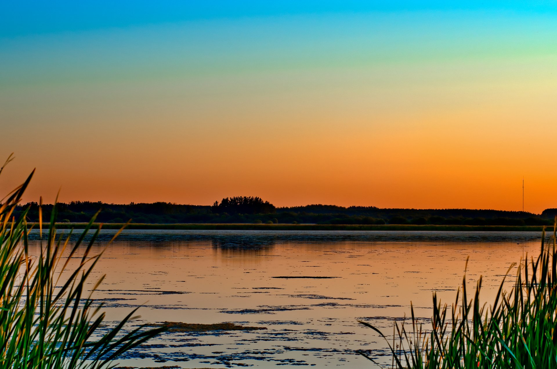 lac nature marais herbe arbres soir coucher de soleil