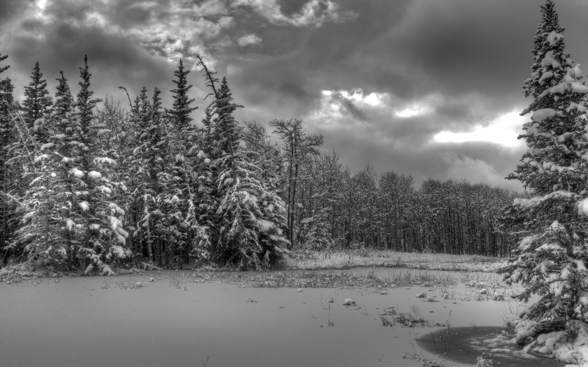 invierno nieve árboles bosque abeto hielo río nubes