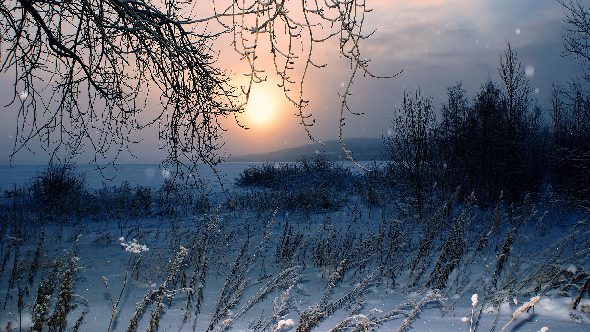 inverno neve natura