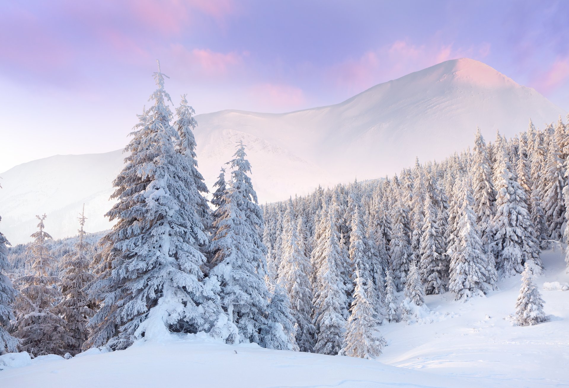 nieve invierno bosque nubes amanecer