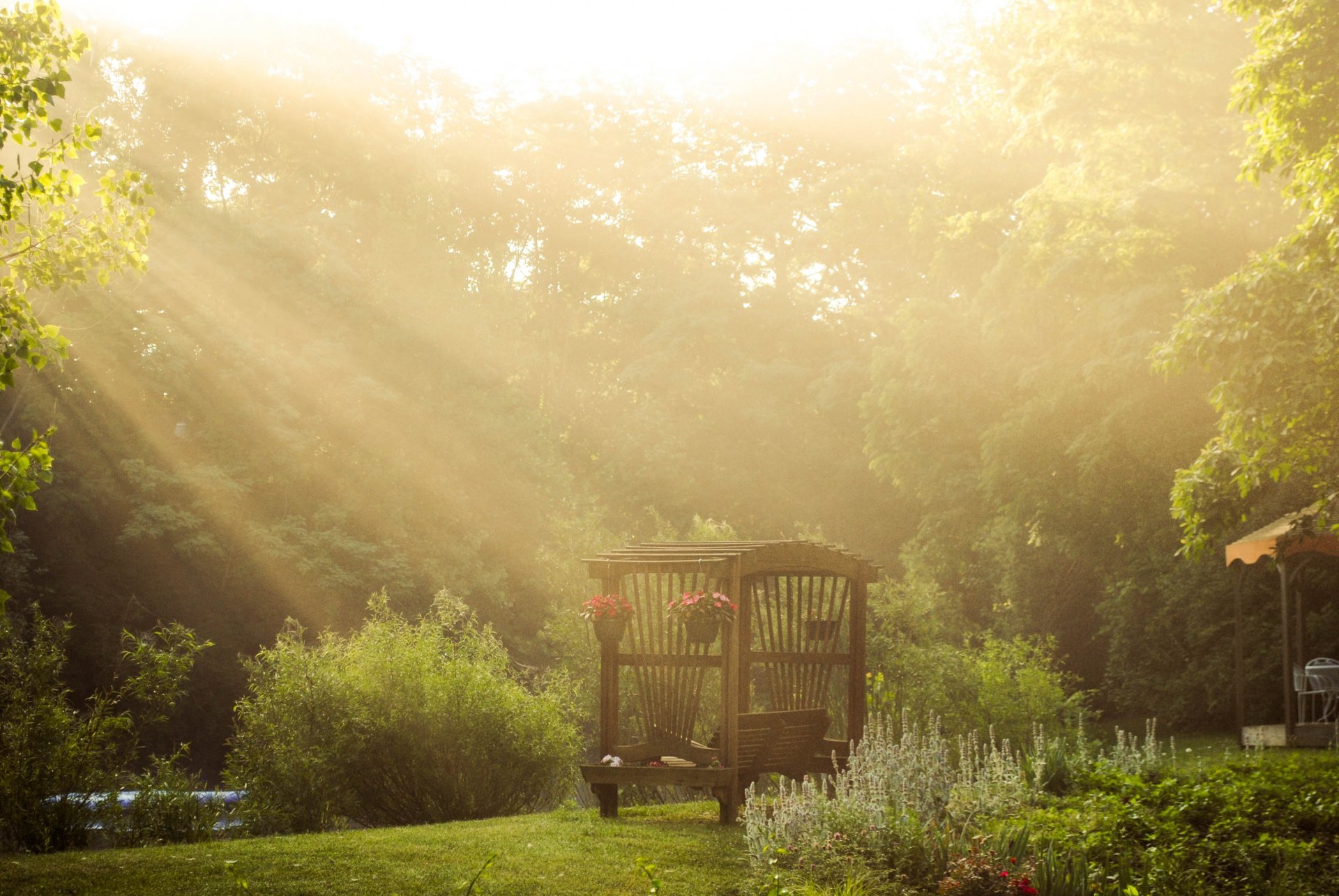 nature banc rayons de soleil fleurs arbres verdure