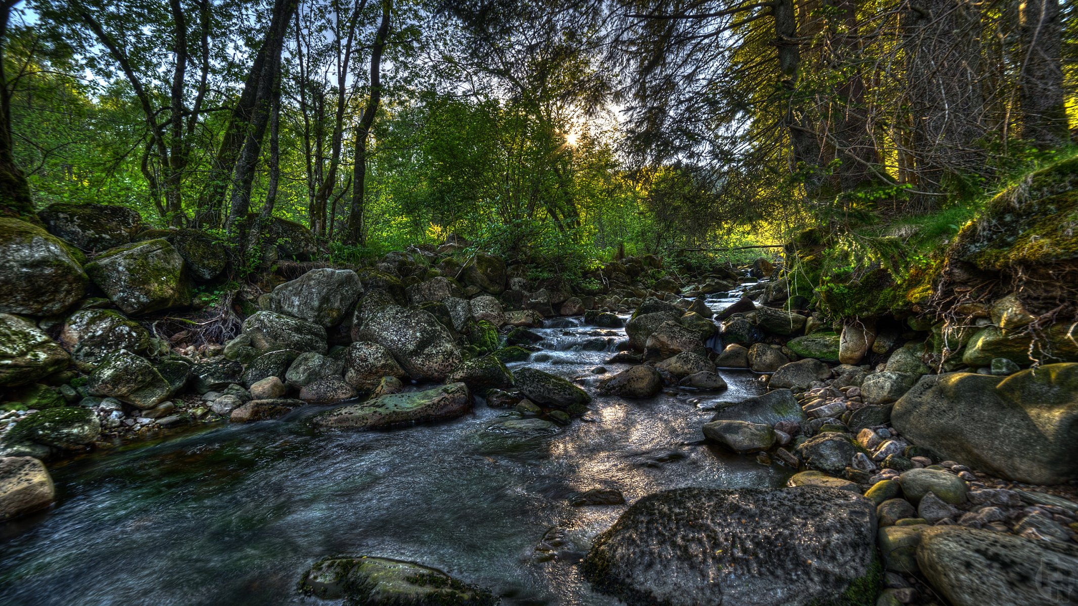 norvegia foresta fiume pietre alberi