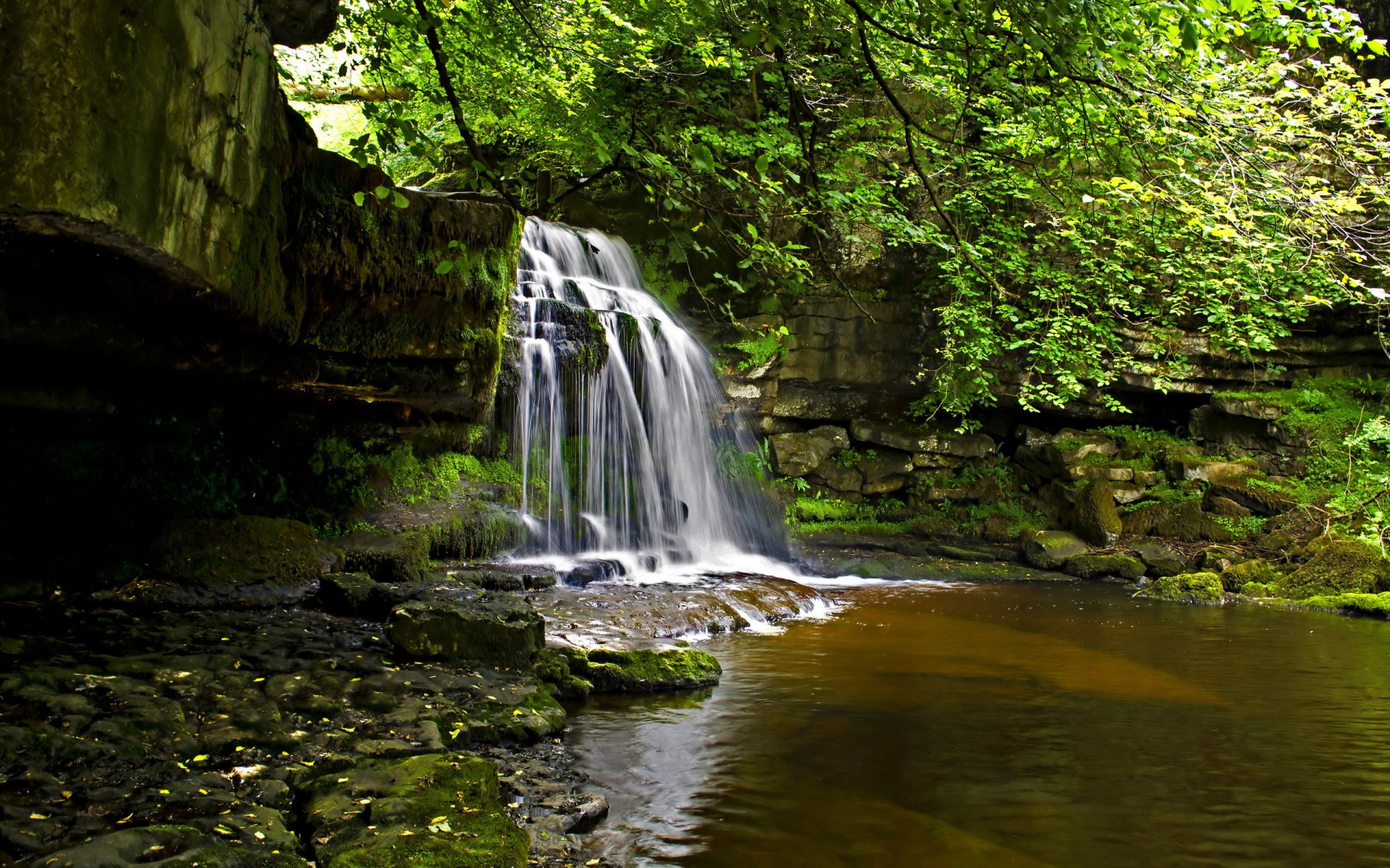 rzeka wodospad las natura