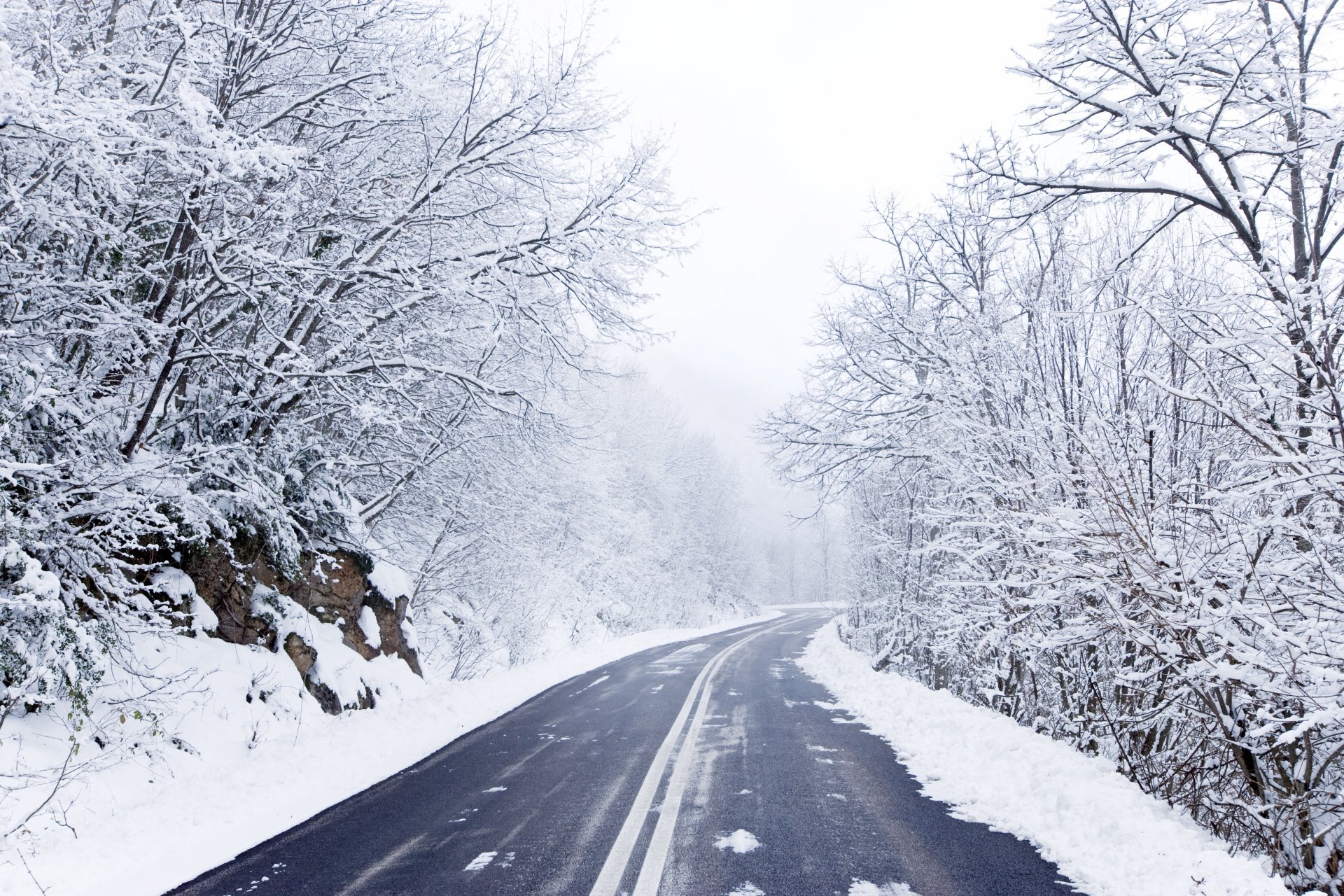 road tree snow winter