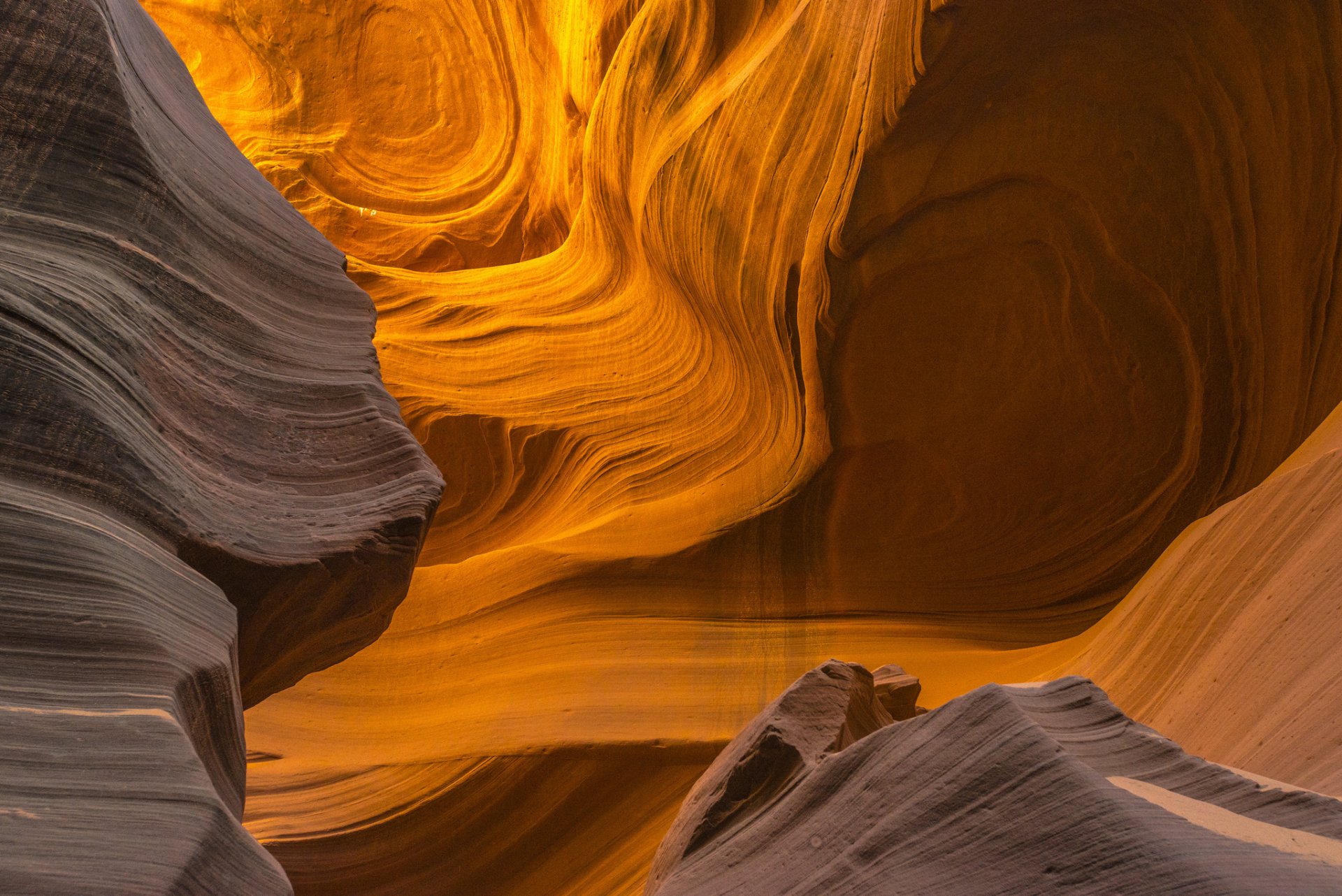 arizona united states canyon antelope