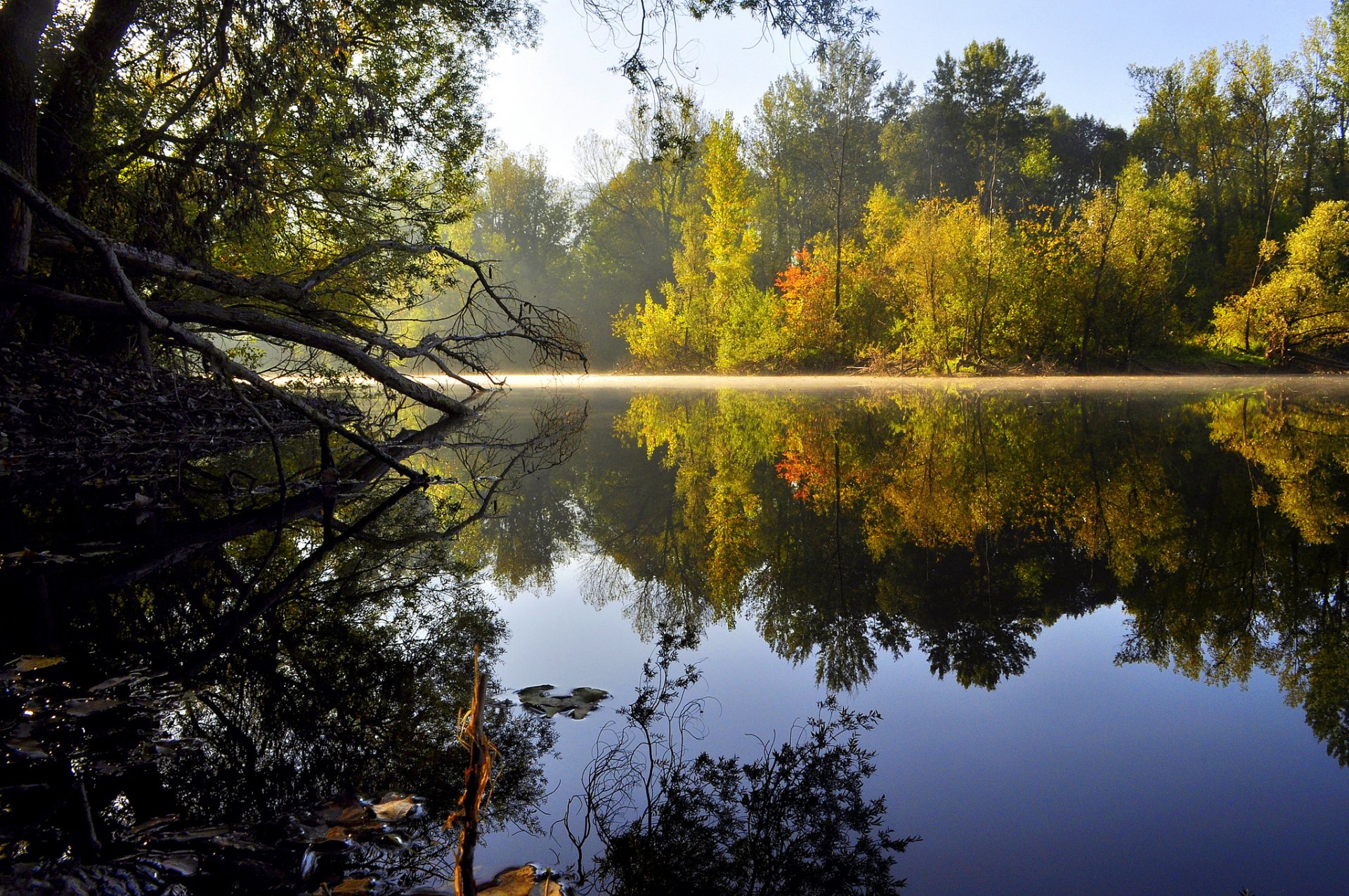 natura lago acqua alberi superficie liscia riflessione mattina sole