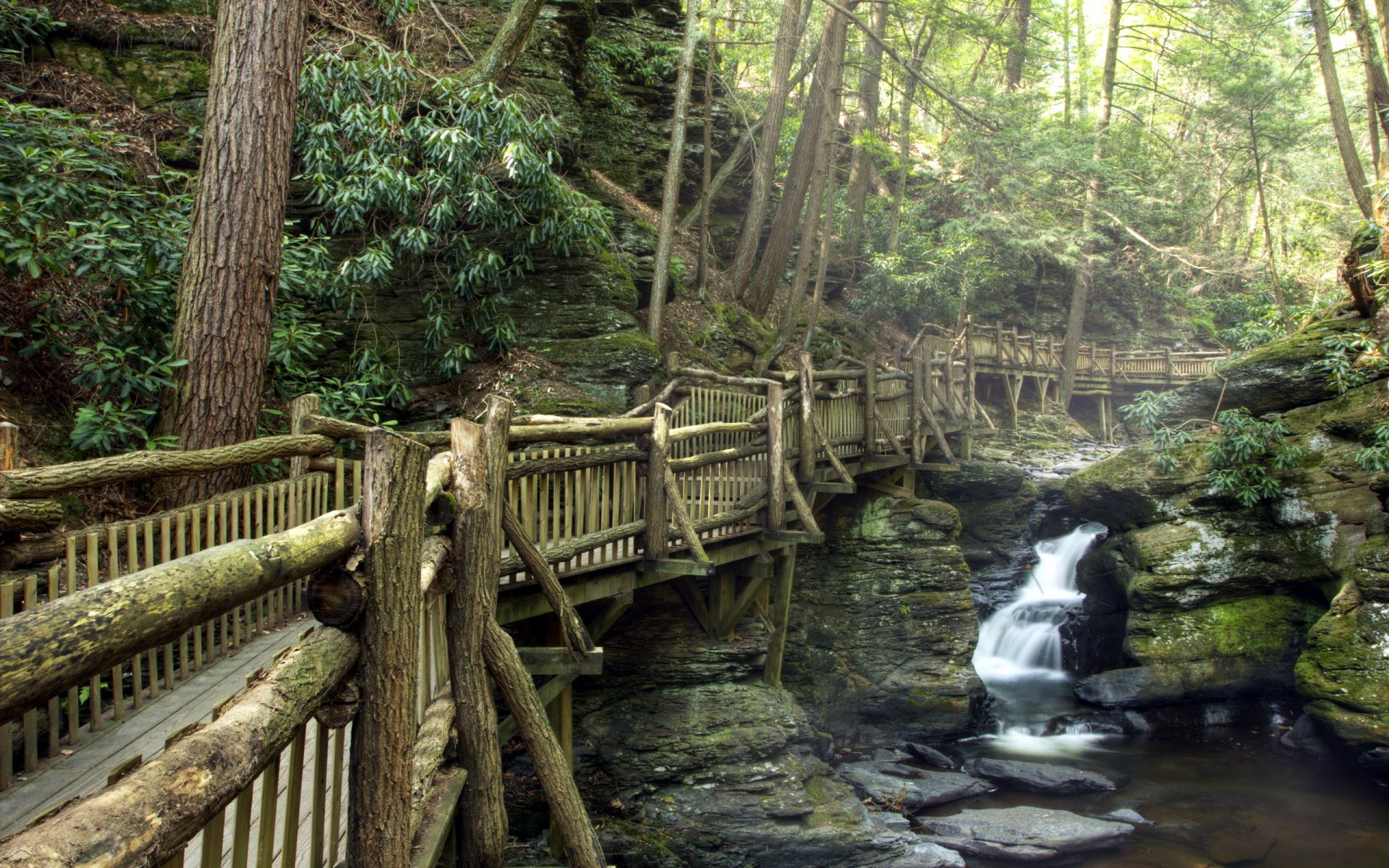 park fluss brücke natur