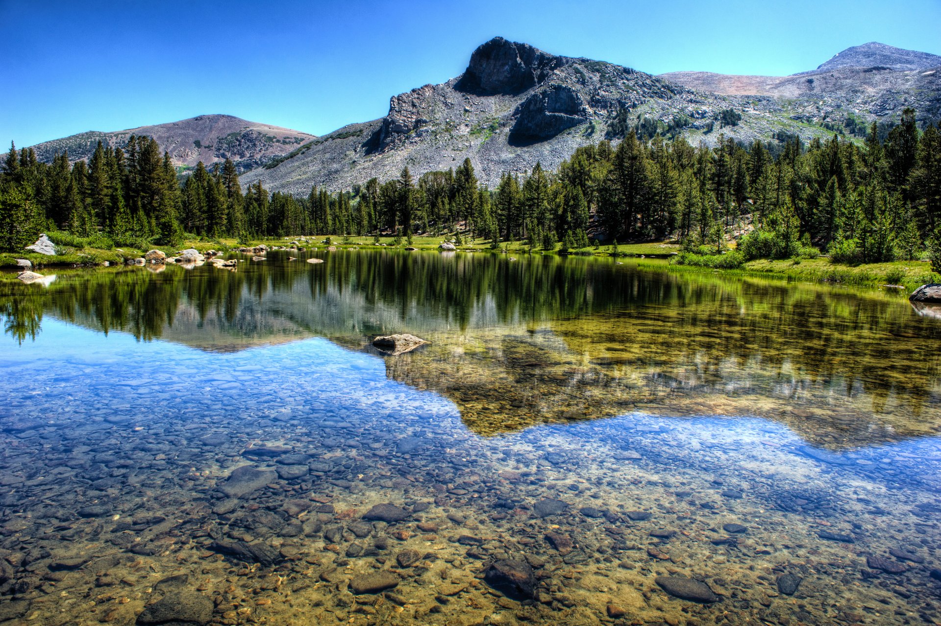 montagne foresta fiume lago paesaggio natura parco nazionale di yosemite