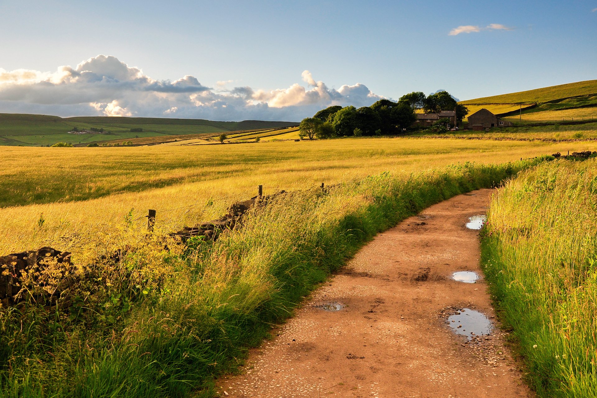 naturaleza inglaterra gran bretaña campos camino charcos hierba viento cielo nubes hogar