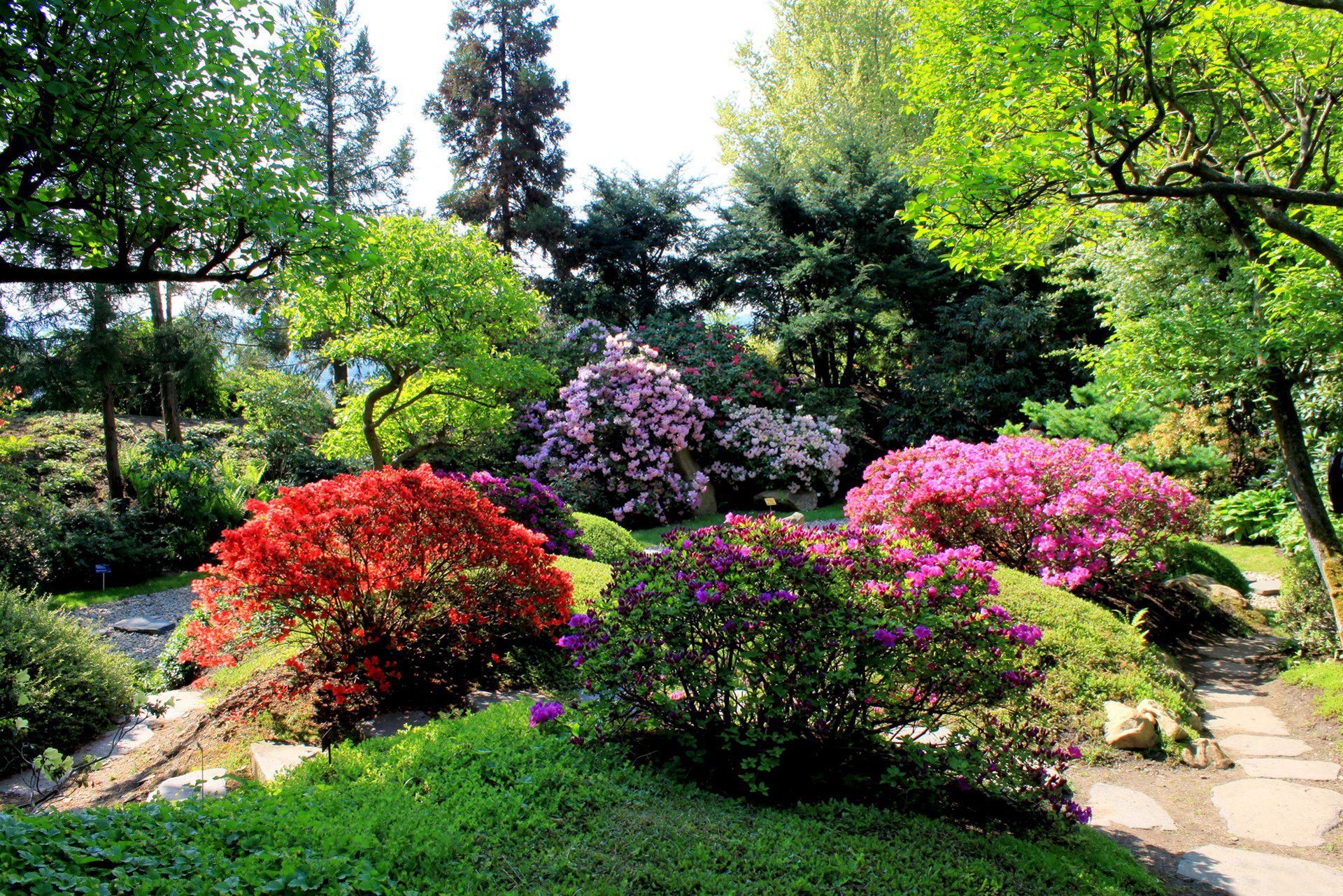 parque callejón arbustos hierba flores vegetación