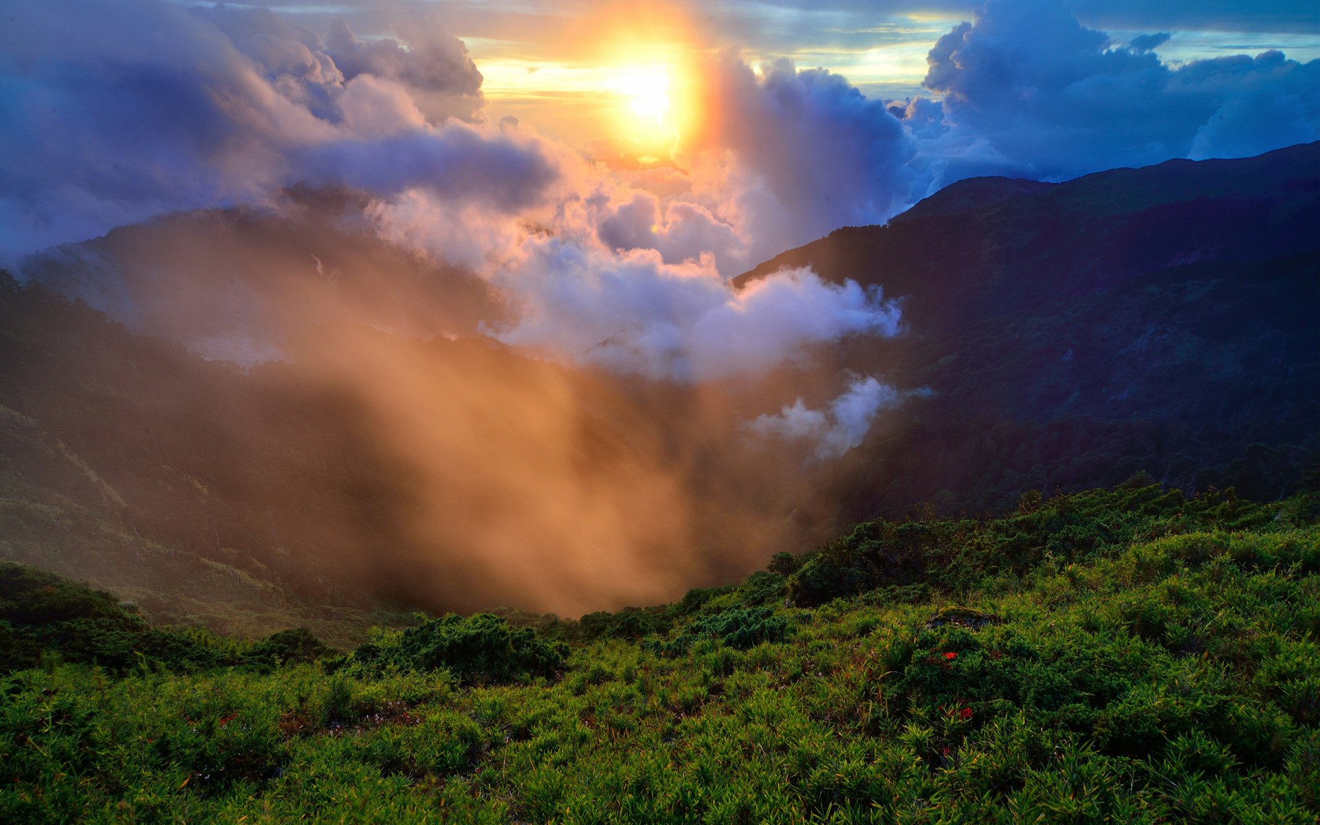 natura colline erba verde mattina sole nebbia