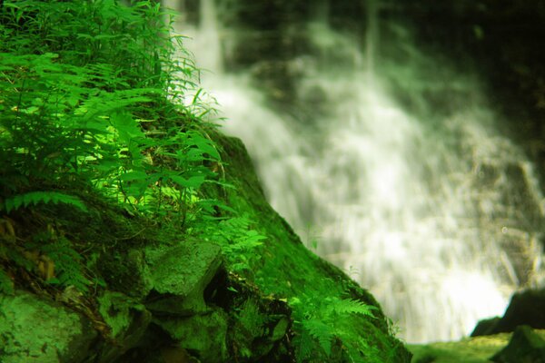 Rocks covered with moss and a waterfall