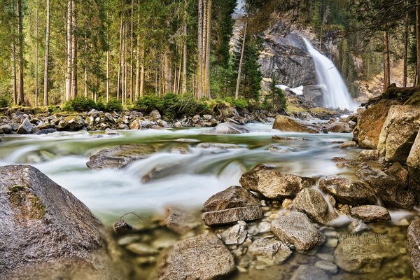 En Australia, una cascada maravillosa en medio de un bosque maravilloso