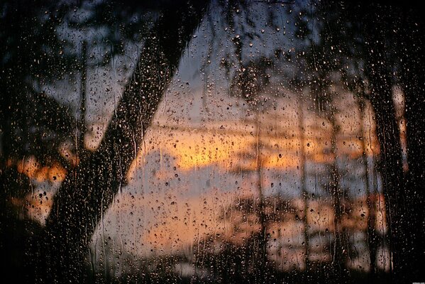 Fenêtre avec des gouttes de pluie