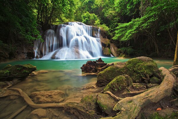 Piedras en el musgo en una cascada en el bosque sombrío