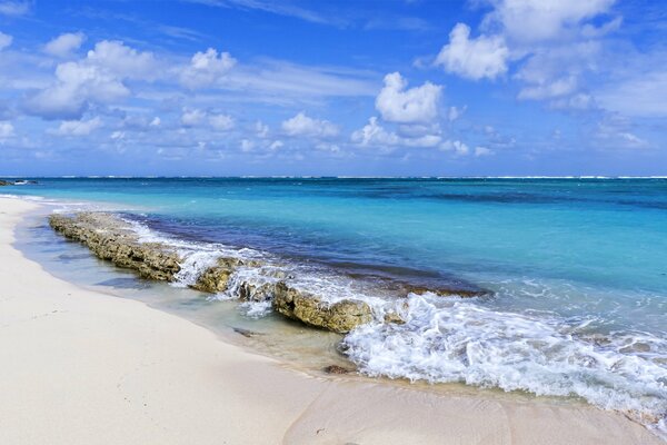 Playa de arena junto al mar bajo el cielo azul