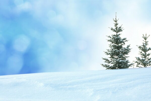 Winter nature on the landscape