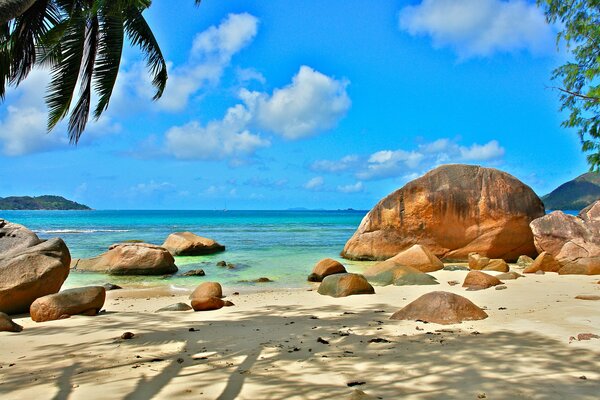 Urlaub am Sandufer der Seychellen