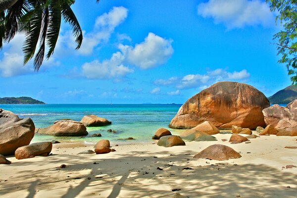 Vacaciones en la playa de arena de Seychelles
